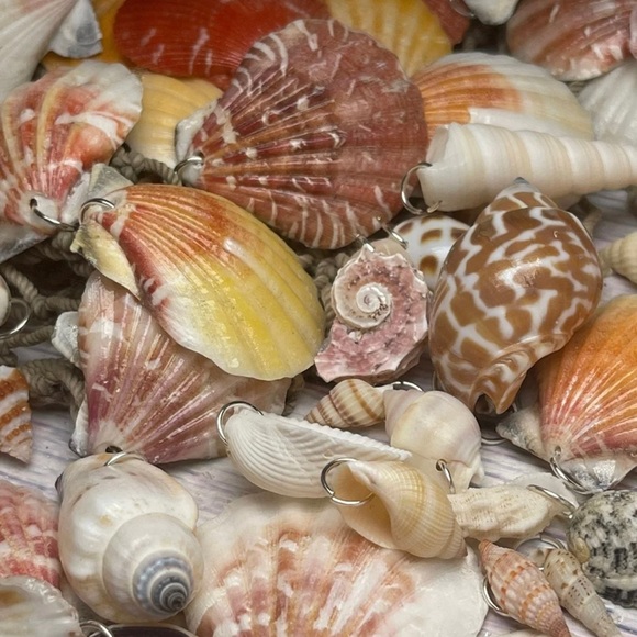 15 REAL SEASHELLS CHARMS PENDANTS w 15 JUMP RINGS FOR CRAFTING & JEWELRY MAKING - Picture 10 of 13
